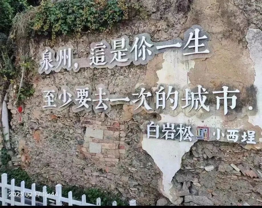 1 (10).jpg